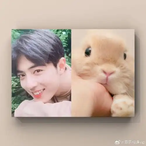 92 肖战呆萌可爱!