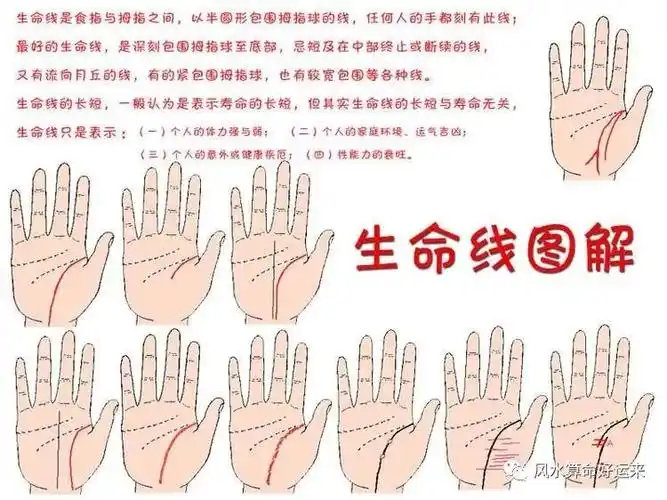 生命线短的人寿命也会短是一个错误的观念