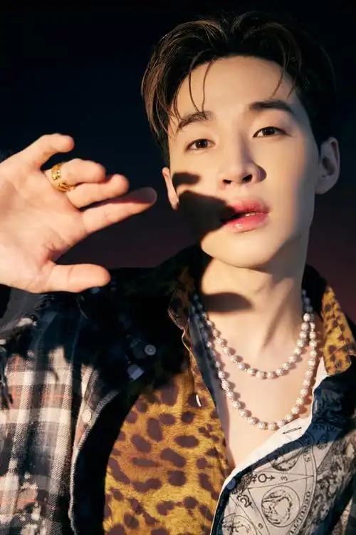 刘宪华豹纹衬衣帅气写真图片