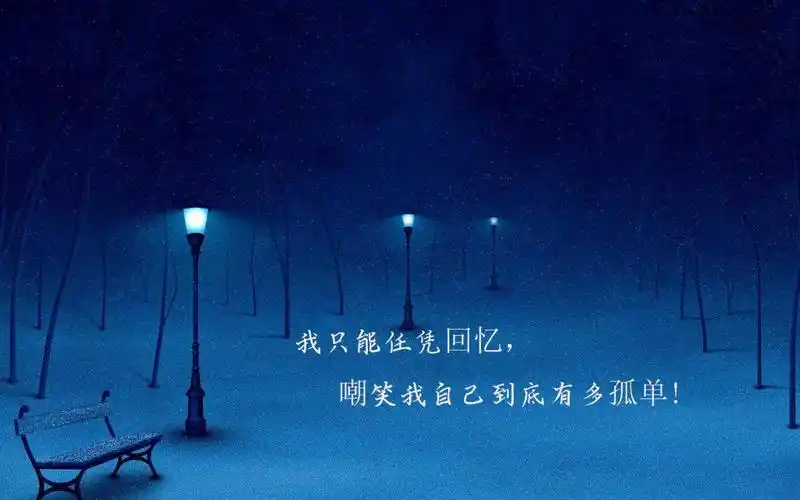 你说孤独伤心应该是有体会