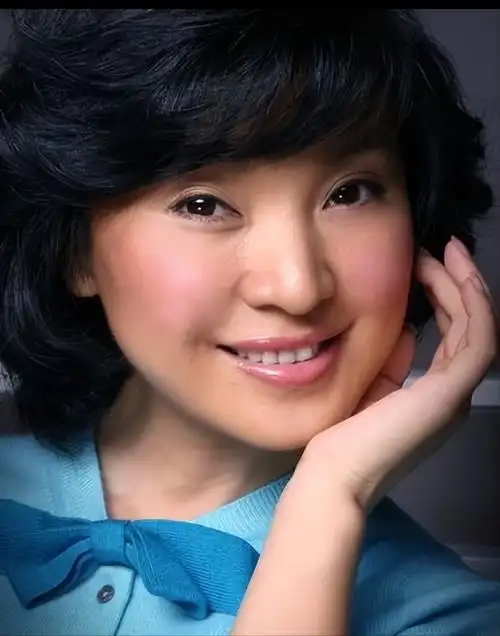 歌手陈红个人资料简介(53岁陈红近况如何) - 歌词译