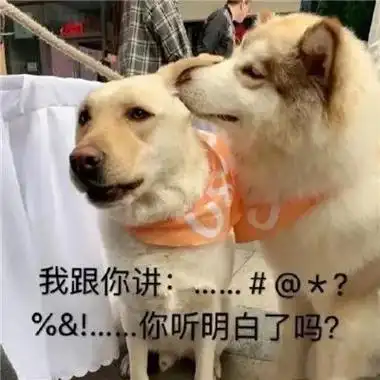 表情包##表情包无水印##搞笑表情包