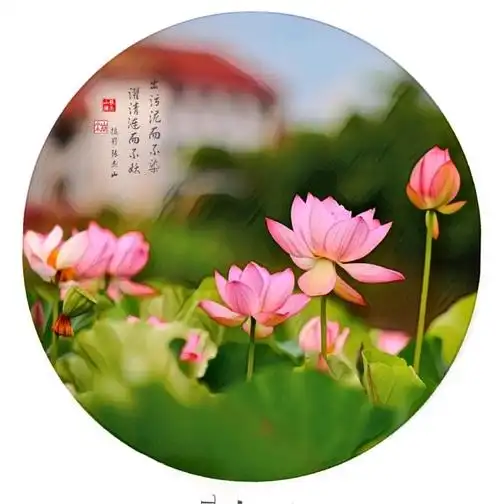 `一感恩一路有你