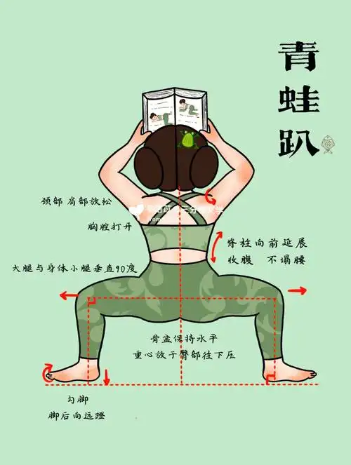 趴能拉伸到大腿内侧的肌肉,促进髋关节的血液循环,臀部回到原本正确的