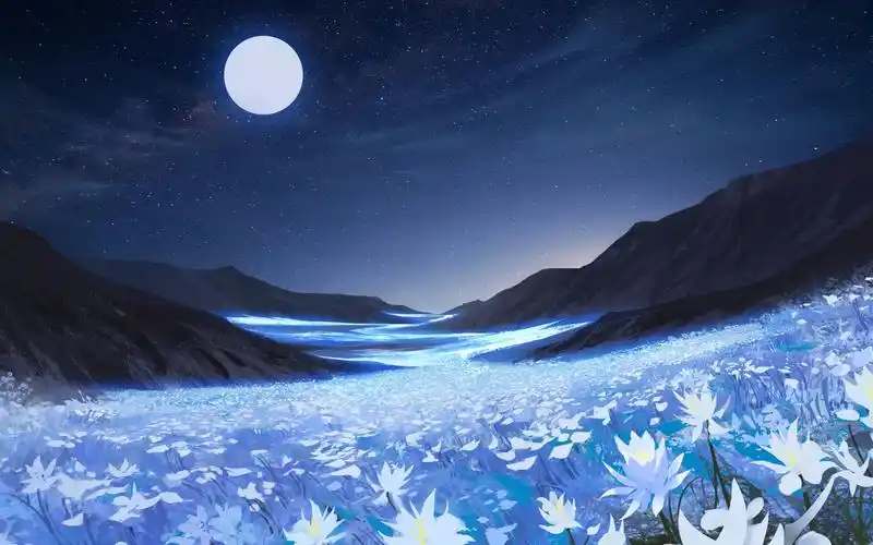 企图玄学的指肥官