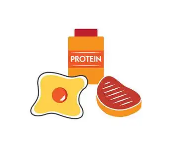 蛋白质图图片-蛋白质图素材-蛋白质图插画-摄图新视界