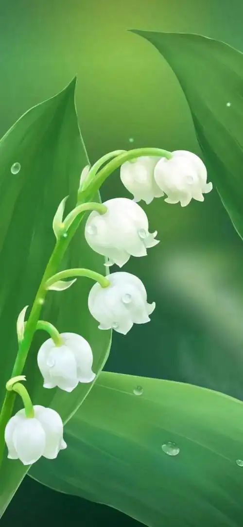 绿色背景图,绿色背景图卡通(护眼壁纸:绿色清新背景图)