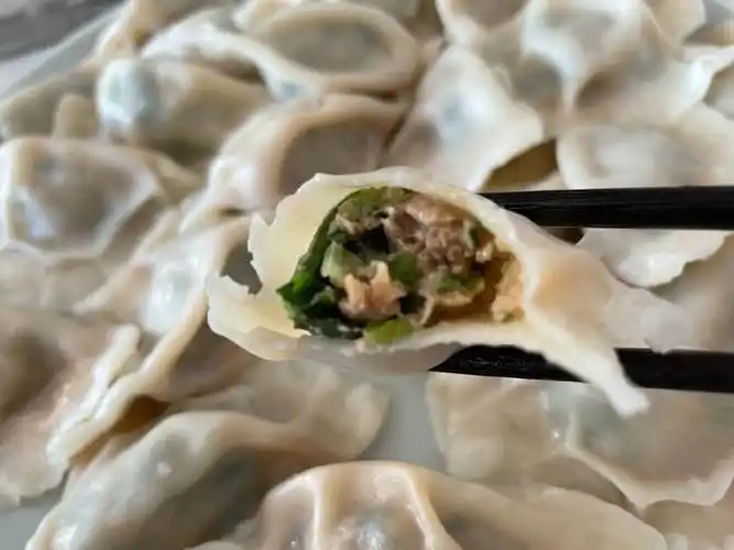 香菜猪肉馅饺子09