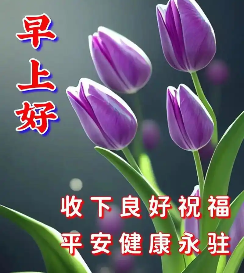 早安图片大全,祝福牵挂,问候平安,给你吉祥!