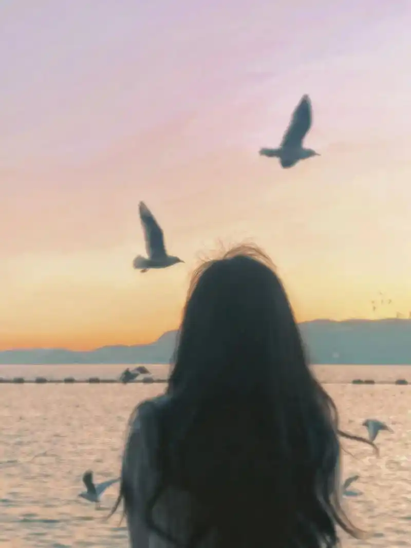 看海鸥了#日落92 #夕阳下的背影 #昆明海鸥回来了 - 抖音