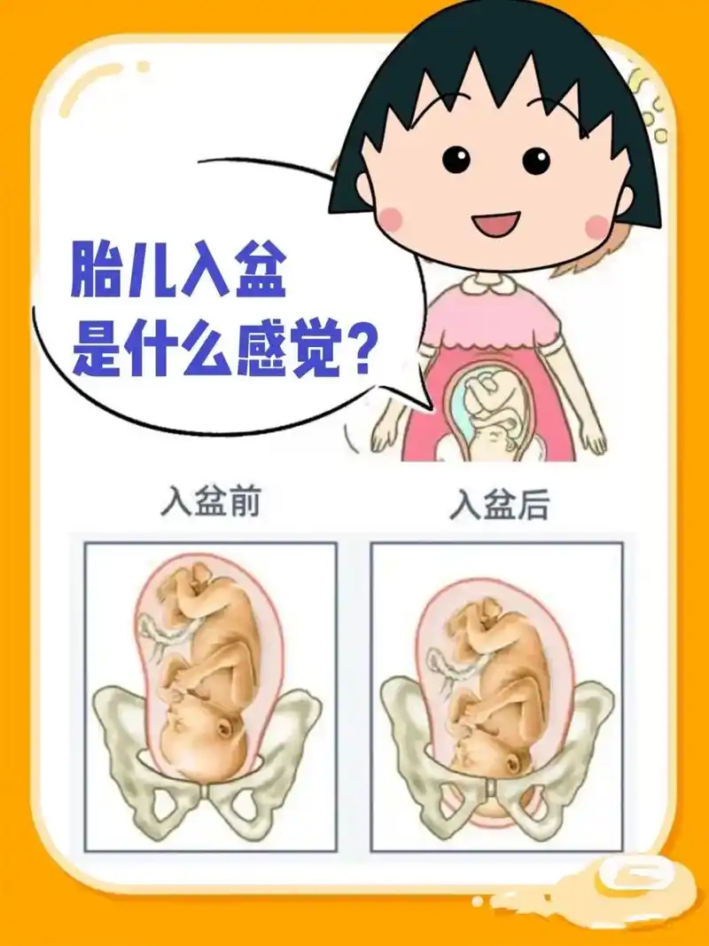 胎儿入盆的几个症状,#孕妈 到了孕晚期就要多注意,提前了解一 - 抖音