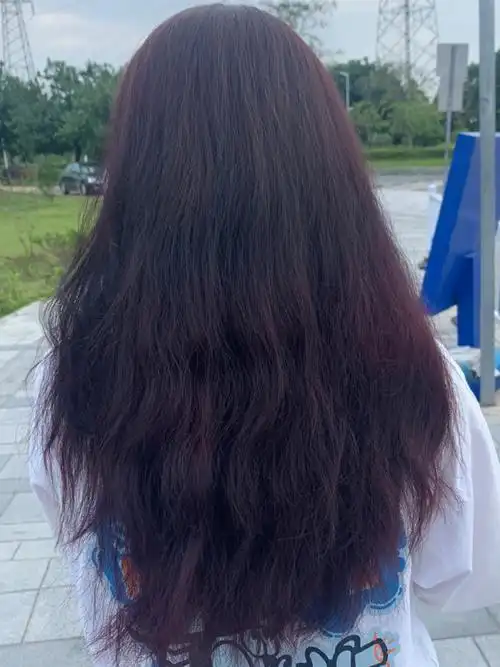 施华蔻泡泡染发剂烟熏紫灰