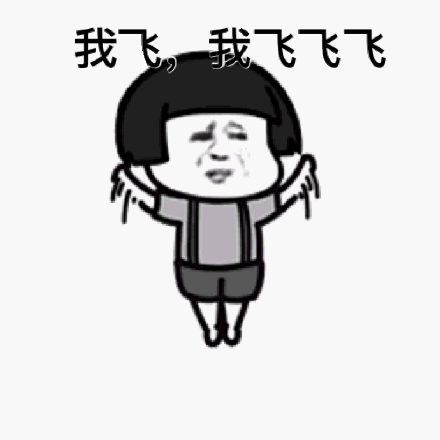 飞飞表情包