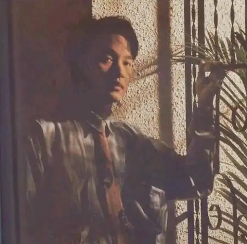 有没有张国荣头像