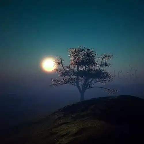 适合男人成熟的头像风景