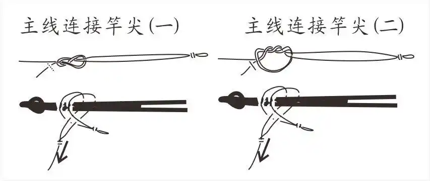 (1)主线连接竿尖的反8字结和内线环结,如右图所示.