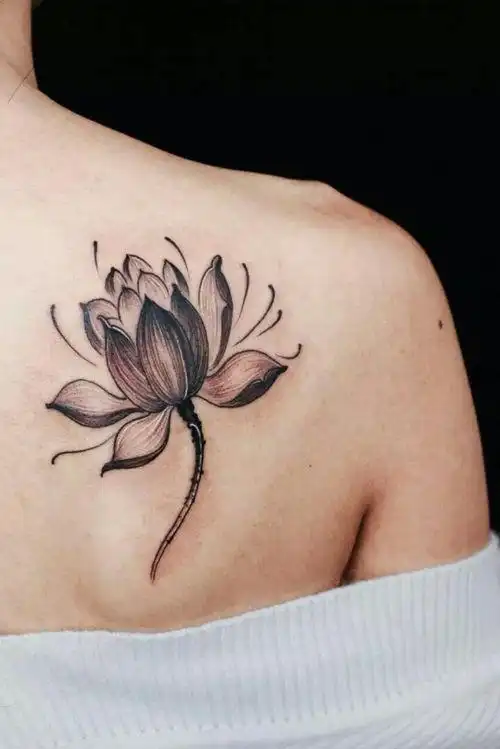 纹身莲花的寓意是什么 莲花文身的寓意是什么_知识 - 名片网