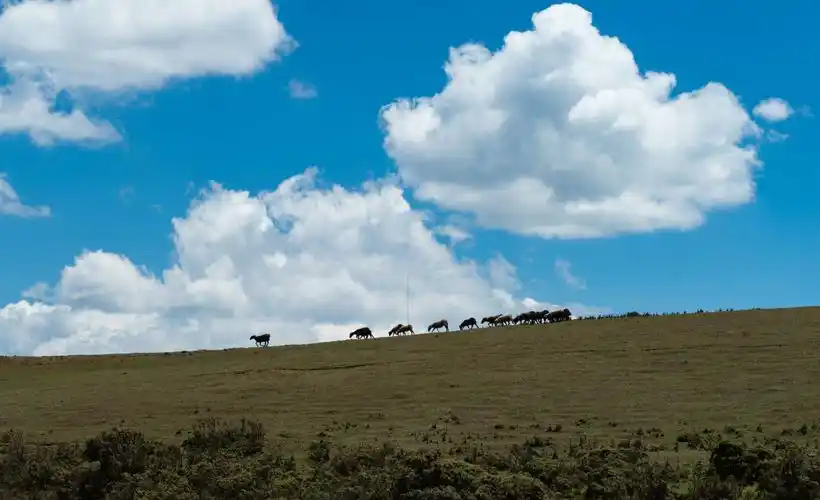 大凉山布拖县美丽的草原风光