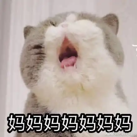 猫咪喊妈妈表情包猫咪大喊妈表情包猫咪喊妈表情包喊妈表情包
