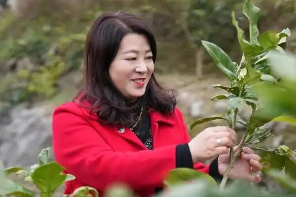 罗秀英代表站在新起点68描绘新图景68践行新使命