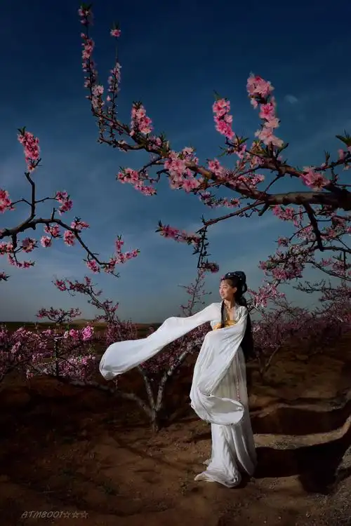 桃花美女图