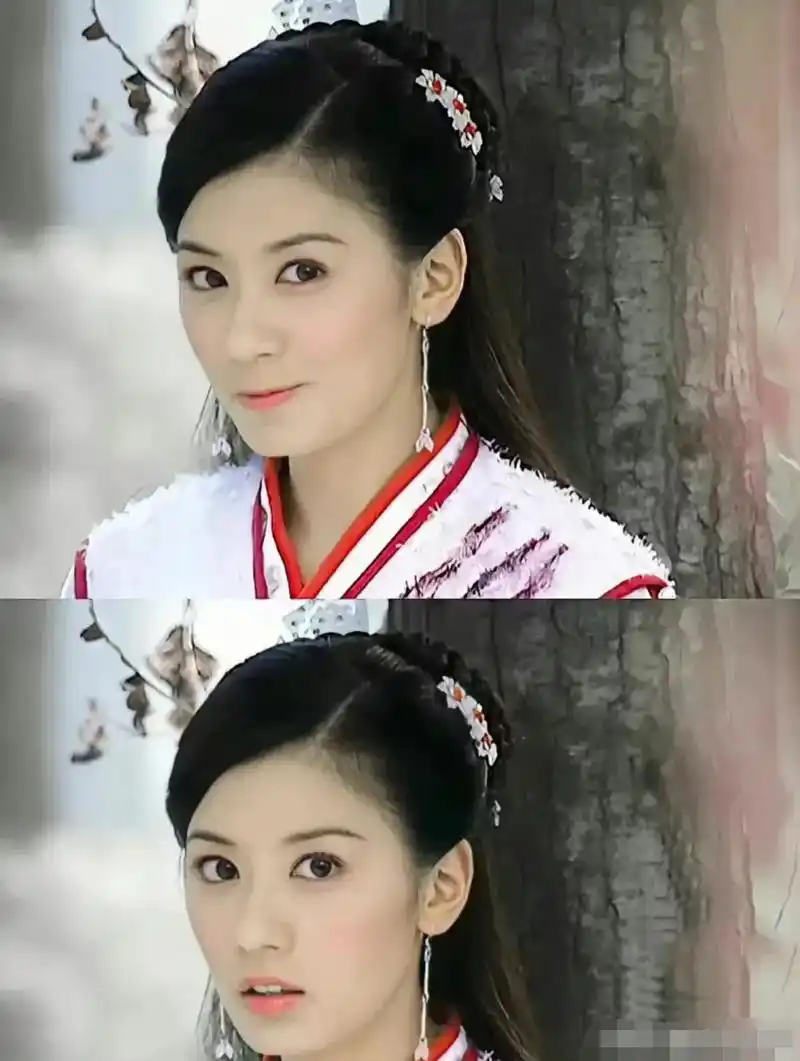 一直没觉得贾静雯的颜值有多高,个人认为周芷若最好看,而且也很喜欢