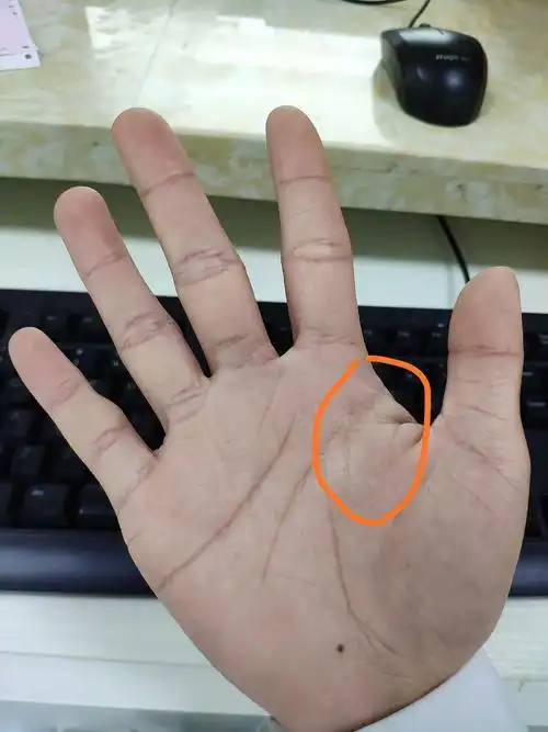 我的生命线似乎太短了