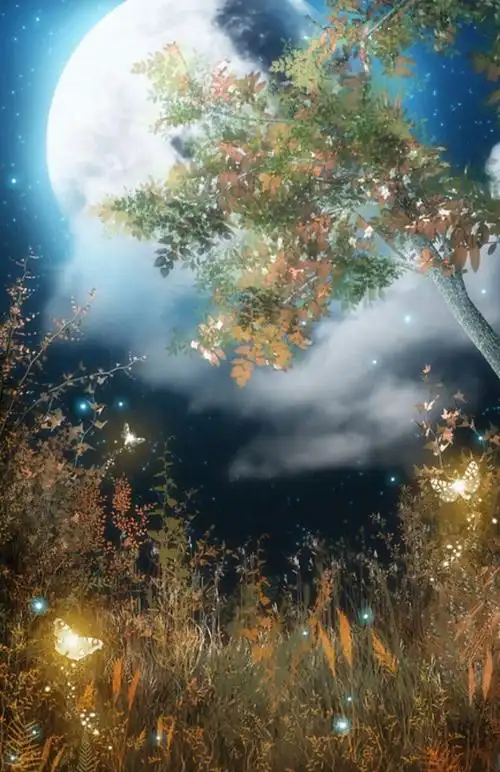 梦幻仙境唯美图片