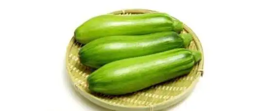 芦子苦可不可以吃