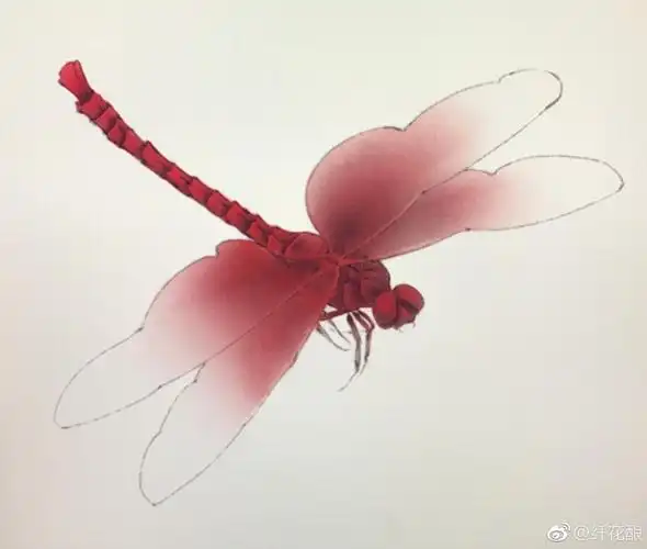 画蜻蜓自己琢磨的画法仅供参考