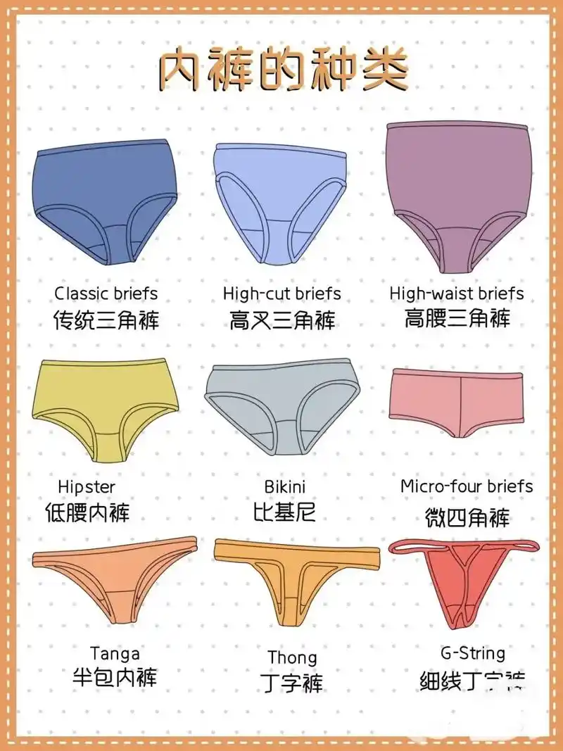 内裤的种类你知道多少,你是哪种?姐妹们亲身教训! 我前两天 - 抖音