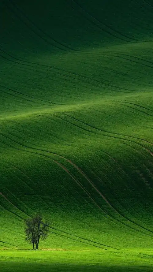 老壁纸 - 华为mate10系列分享交流 花粉俱乐部