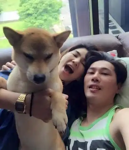 上周2人才刚欢度结婚4周年,昨晚她却趁着老公出差不在家被"小狼狗"