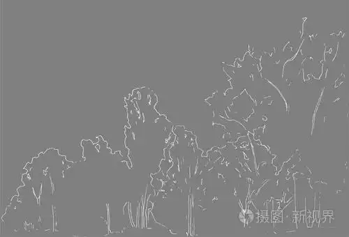 景观线性绘图. 手绘插图. 白色背景上的森林. 黑线风格设计.