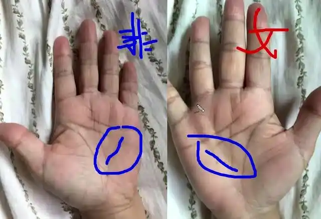 此手相有非健康线,女性很多妇科疾病,有可能怀孕不上