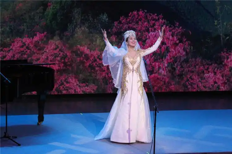 歌剧,民歌,戏曲……王雅洁独唱音乐会展现多元风格