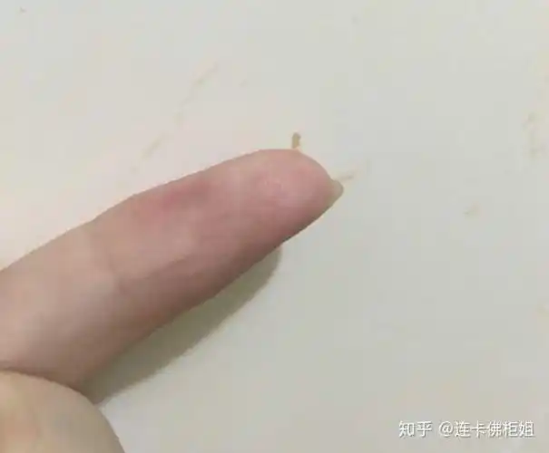 挤出的油脂粒