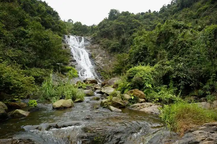 深圳【马峦山】郊野公园
