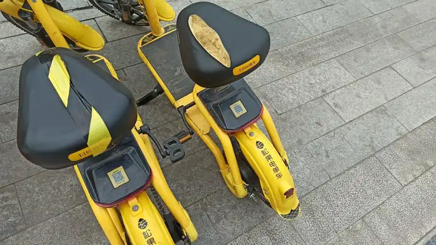 新出的松果电单车这质量也太瞥了.