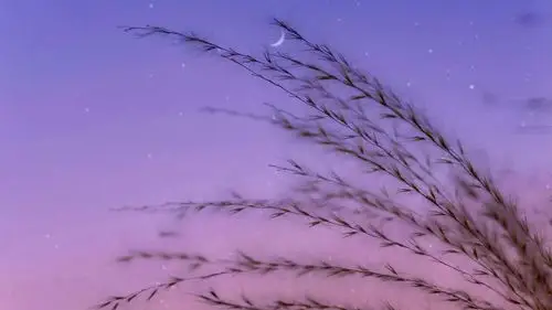 唯美黄昏风景图片桌面壁纸