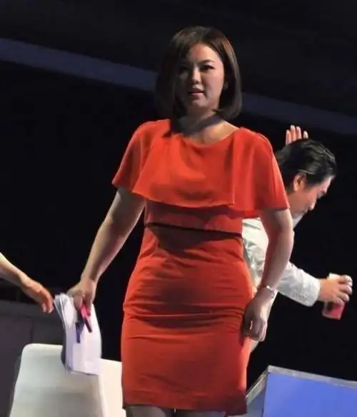 如今的李湘已经胖到无法自拔了