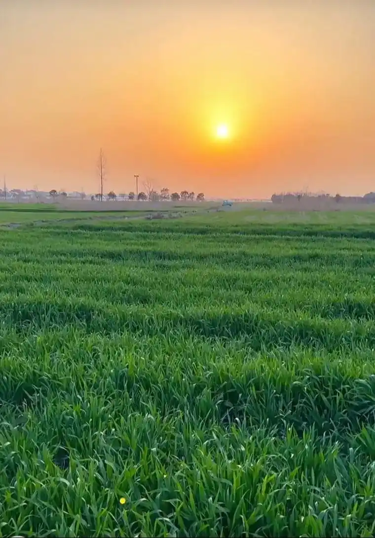 这是村子的麦田,不时有农人从田间走过,生活不只有工作和繁忙