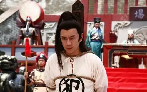 《狸猫换太子》