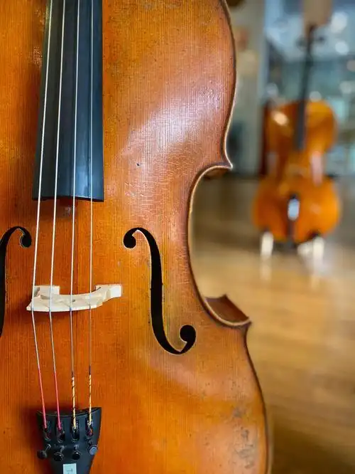 有喜欢复古大提琴的吗?