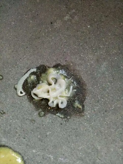 床上出现像蛆像面条一样的白色软体虫子是什么