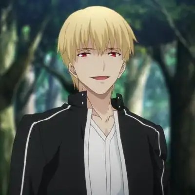 fate stay night金闪闪,渣闪,勇敢的闪闪