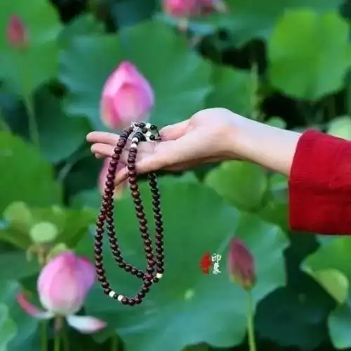 要想修行快,先学佛修心