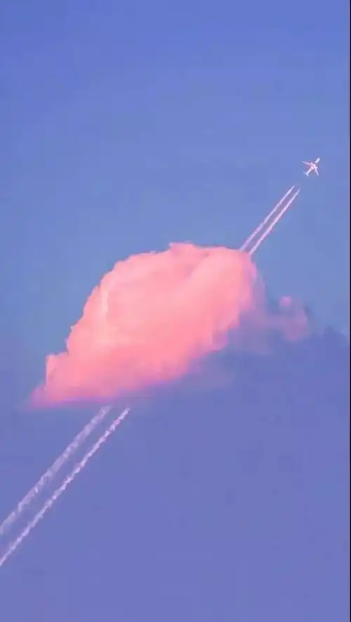 抖音最火最热门的壁纸 | 8个系列一定有你喜欢的!