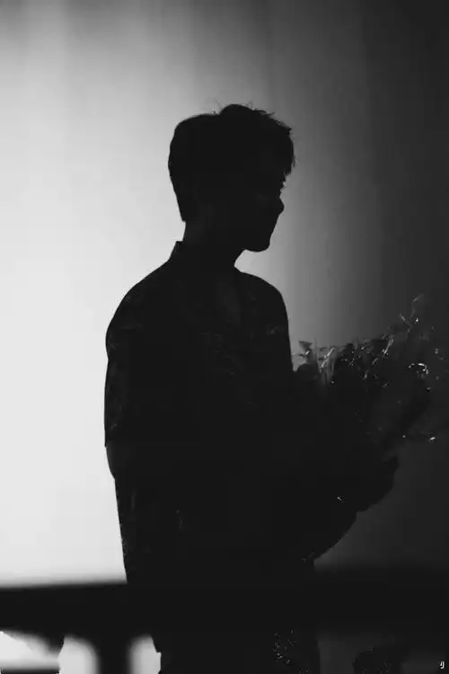 男明星剪影猜猜猜终级挑战看能猜对几个