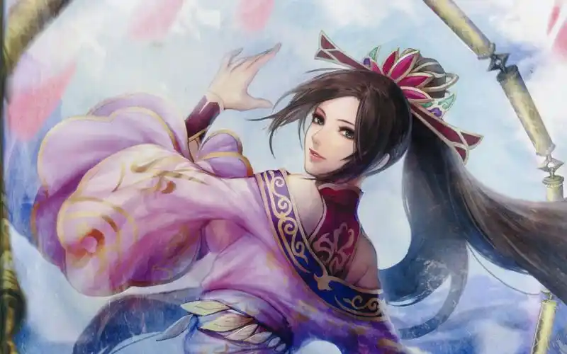 真三国无双2m貂蝉合肥魏全灭